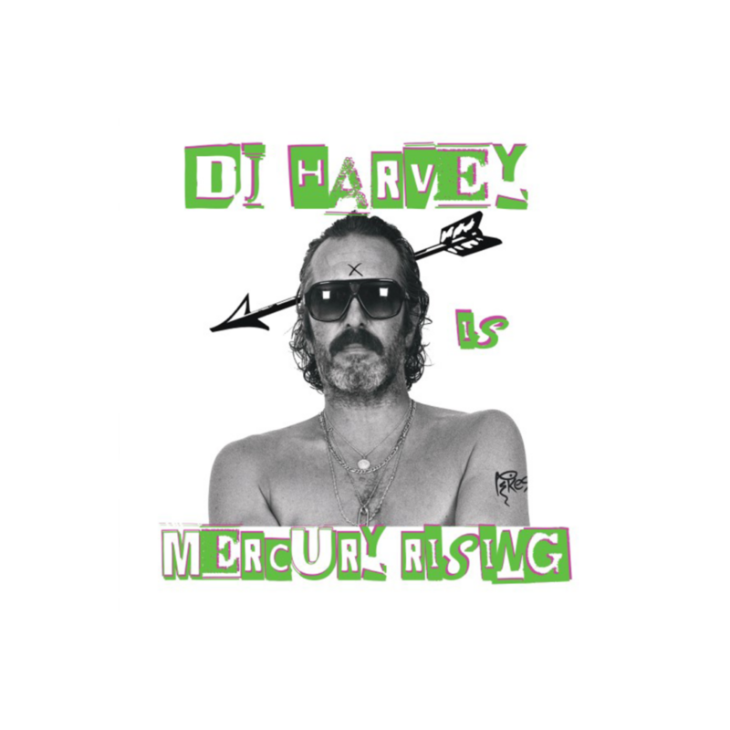 SNOEKEN_harvey_2-e1619533729291