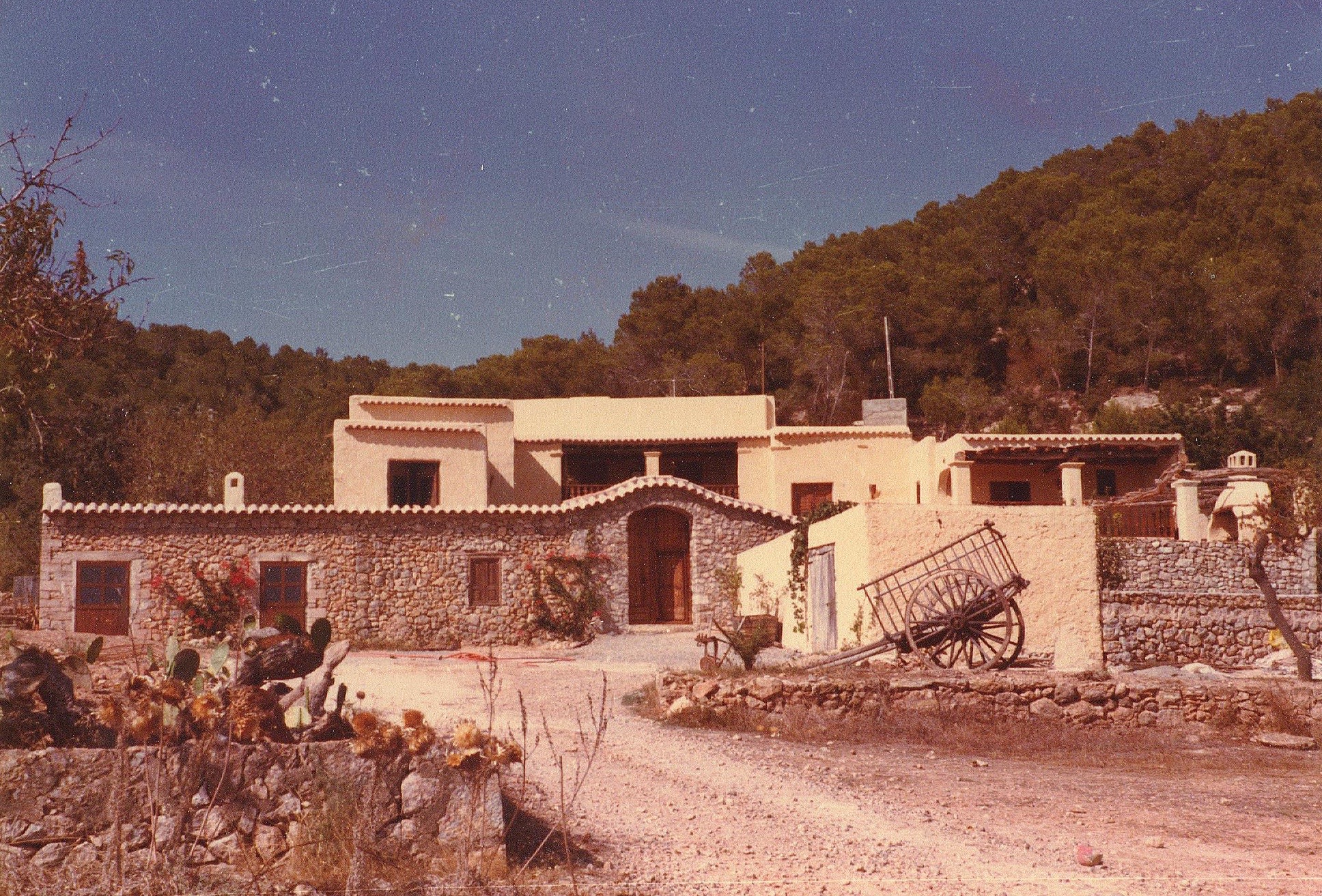 Pikes Ibiza — photo 3