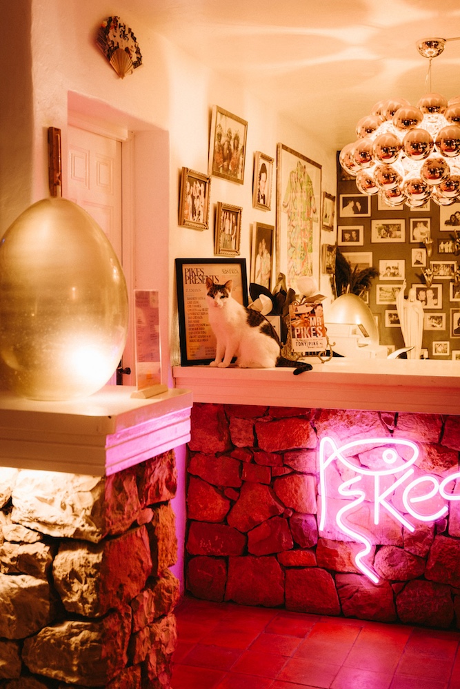 250731_@DAISYDENHAM_PIKES_PETETONG-6928