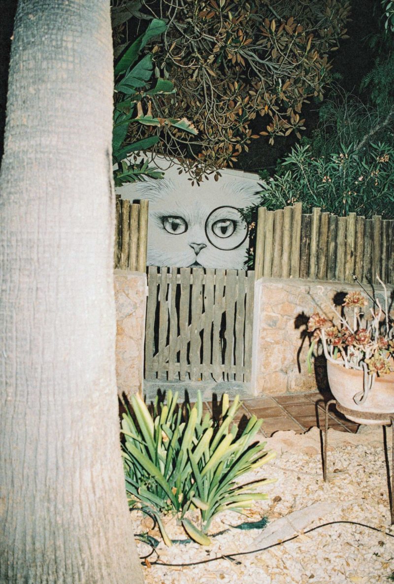 2025.07.30—DISCO-DISCO-(Neel-Gupta)-45