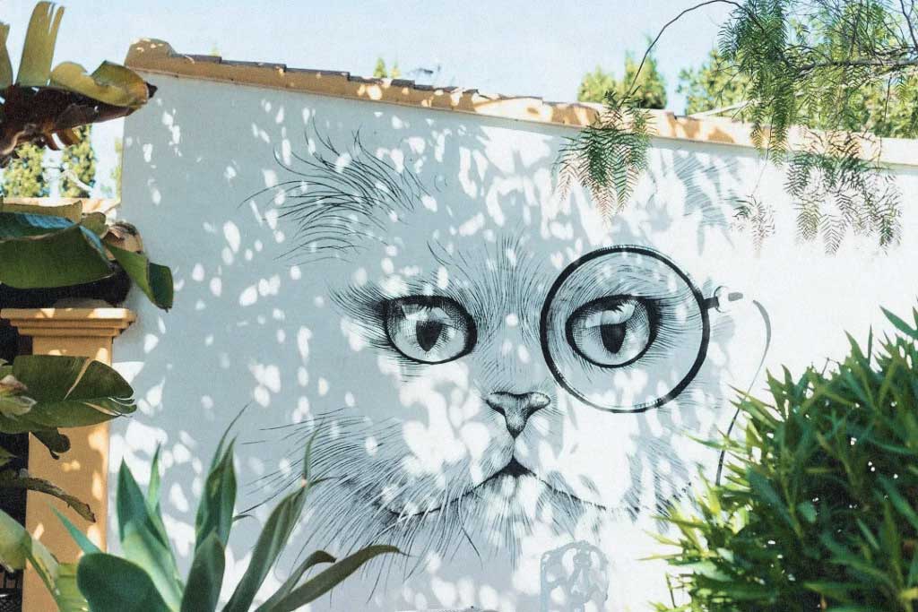 Pikes__Content_agency_2018_2812-1024×683