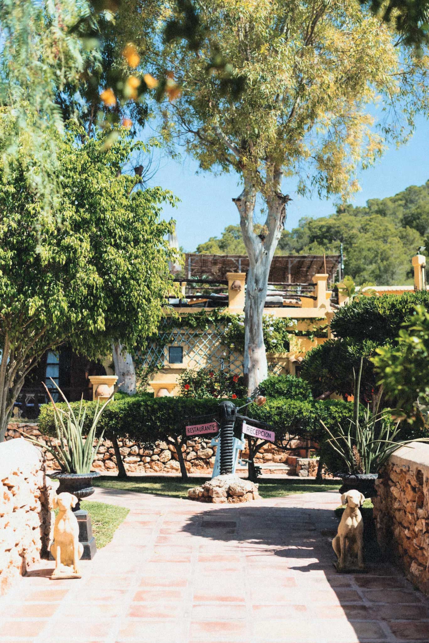 Pikes__Content_agency_2018_3051-1367×2047